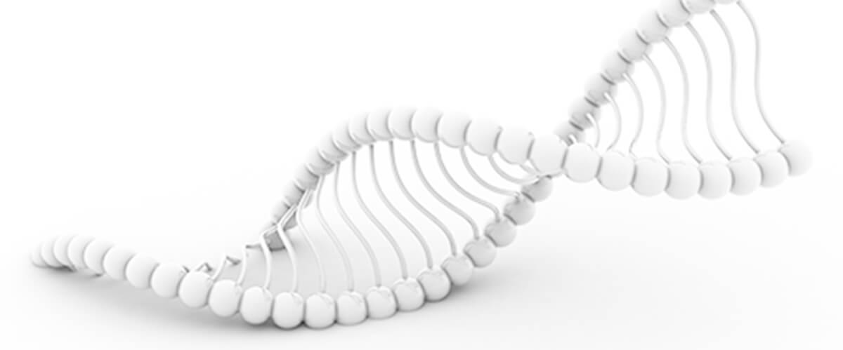Defective mitochondria could be repaired using gene-editing techniques, study finds\